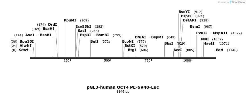 82032_map
