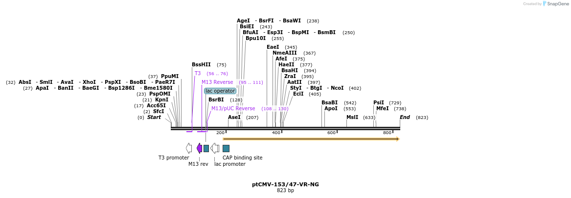 82033_map