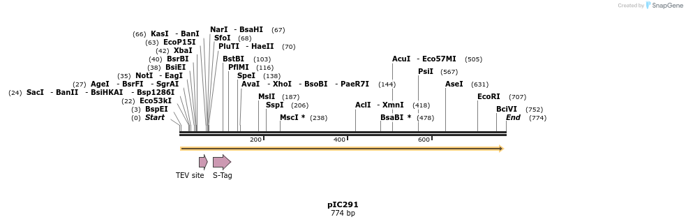 82037_map