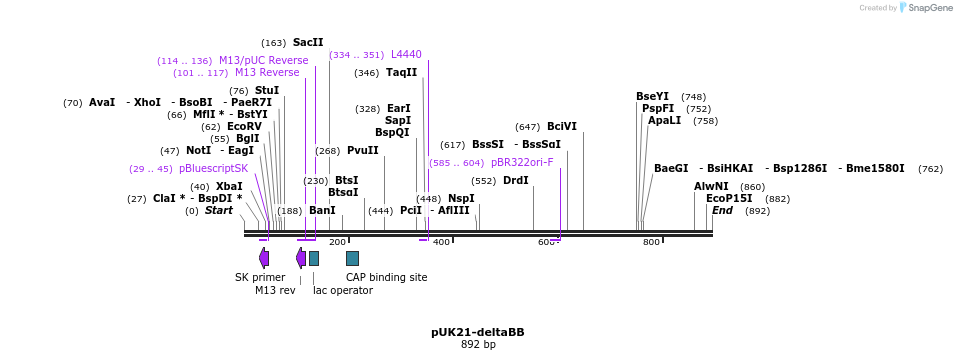 82040_map