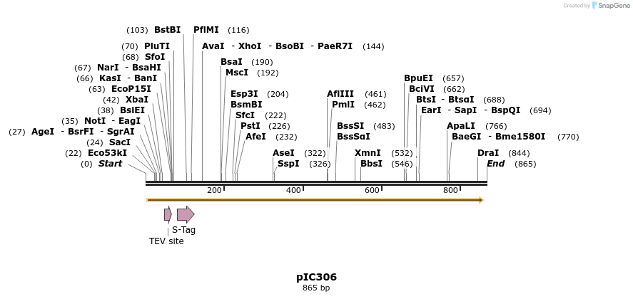 82043_map