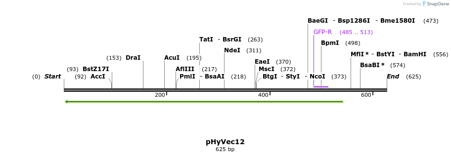 82044_map