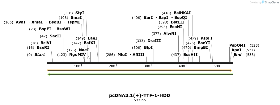 82046_map