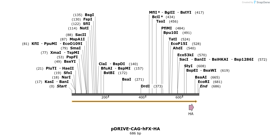 8205_map
