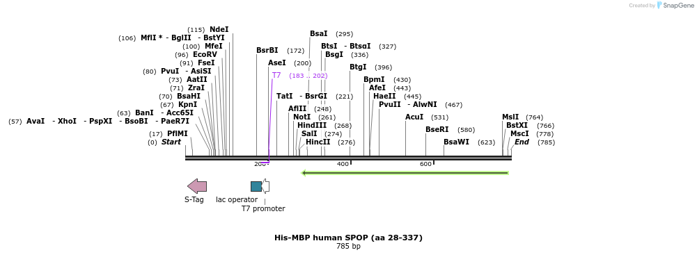 82050_map