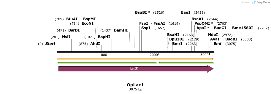 82052_map
