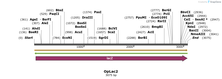 82057_map