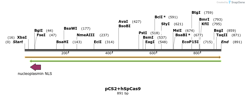 82062_map