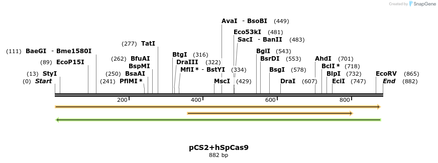 82063_map