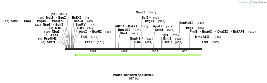 82080_map