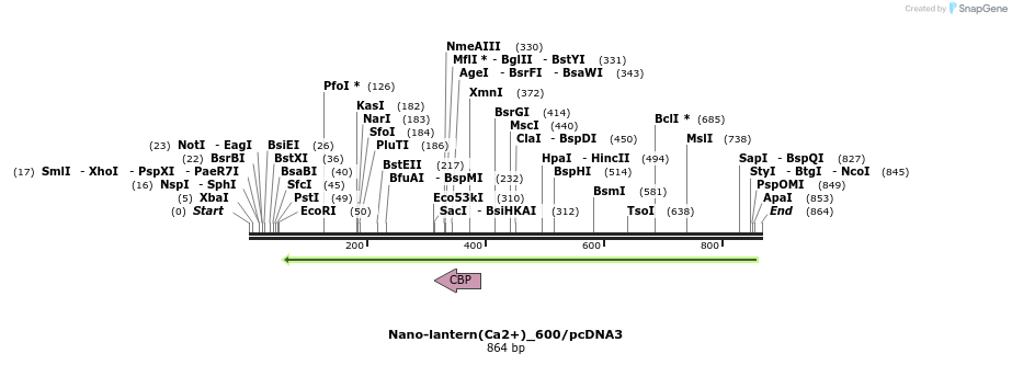 82083_map