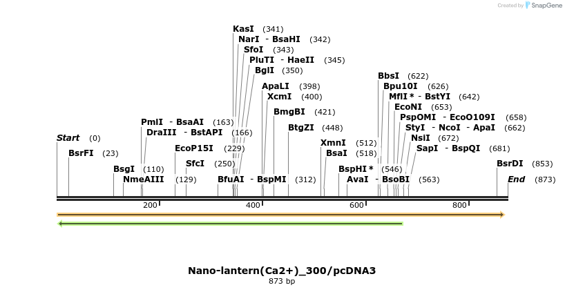 82085_map