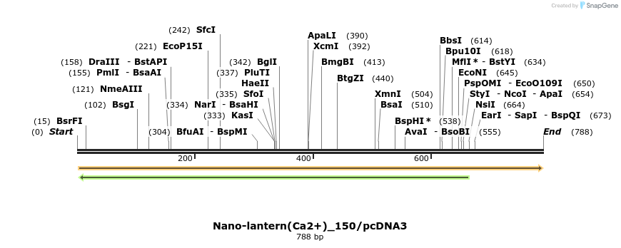 82087_map