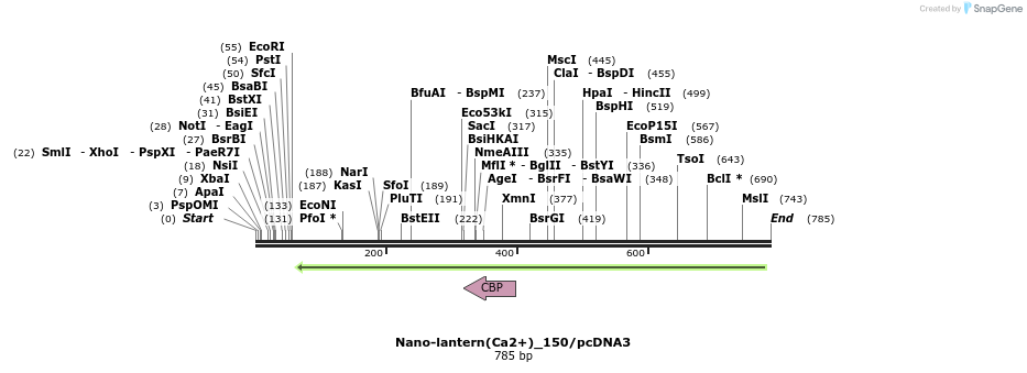 82088_map