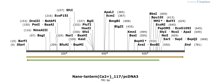 82090_map