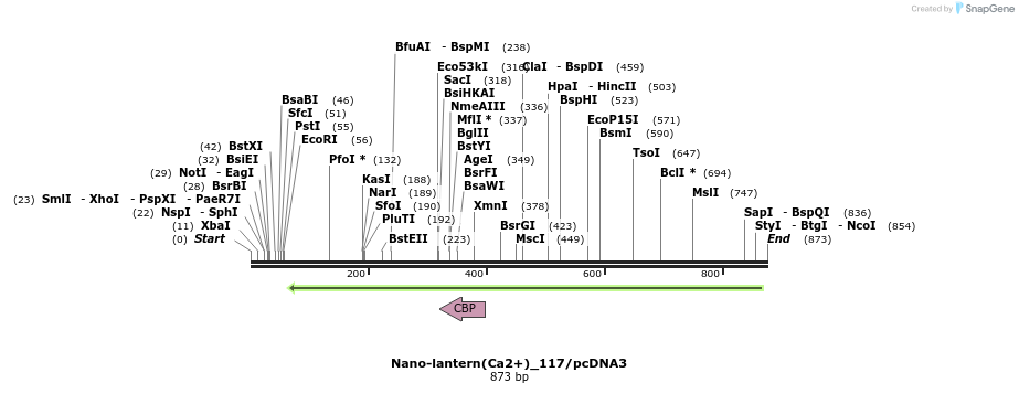 82091_map