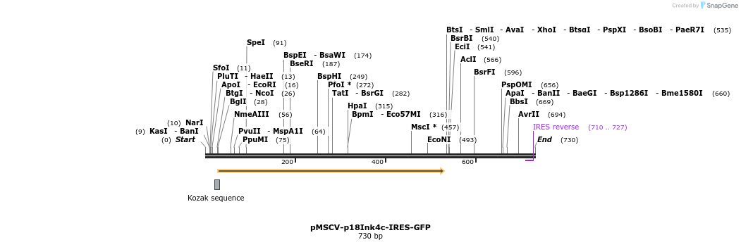 82179_map