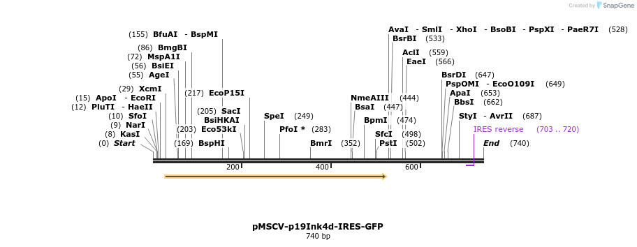 82180_map