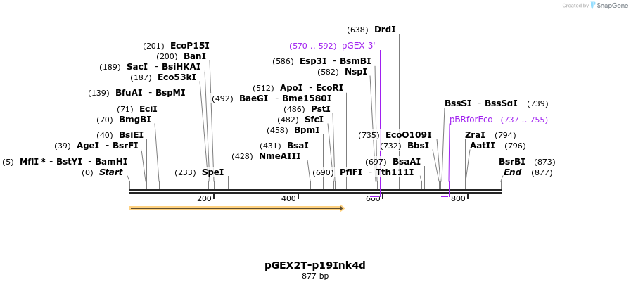 82181_map
