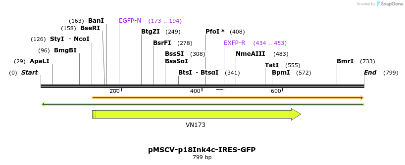 82183_map