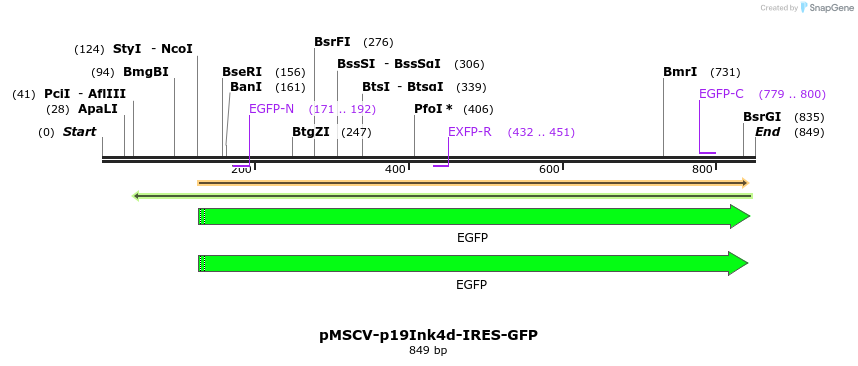 82184_map