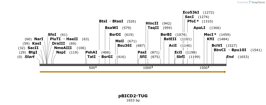82192_map