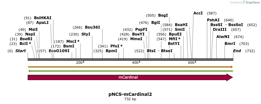 82198_map