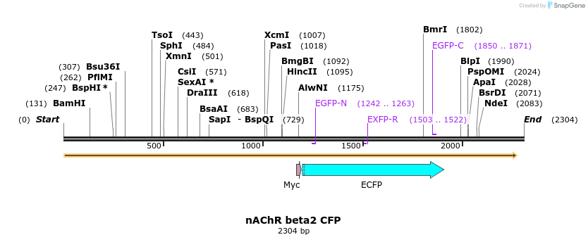 8220_map