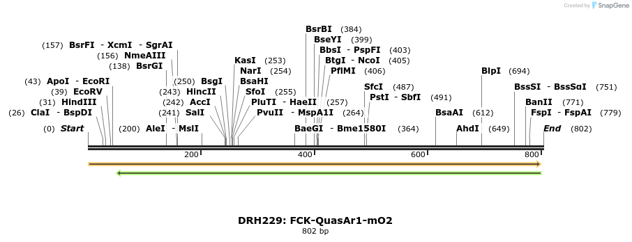 82200_map