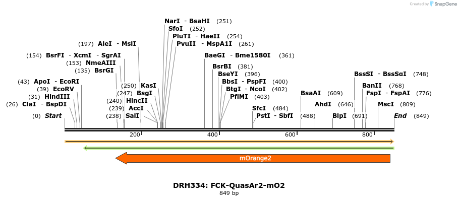 82201_map
