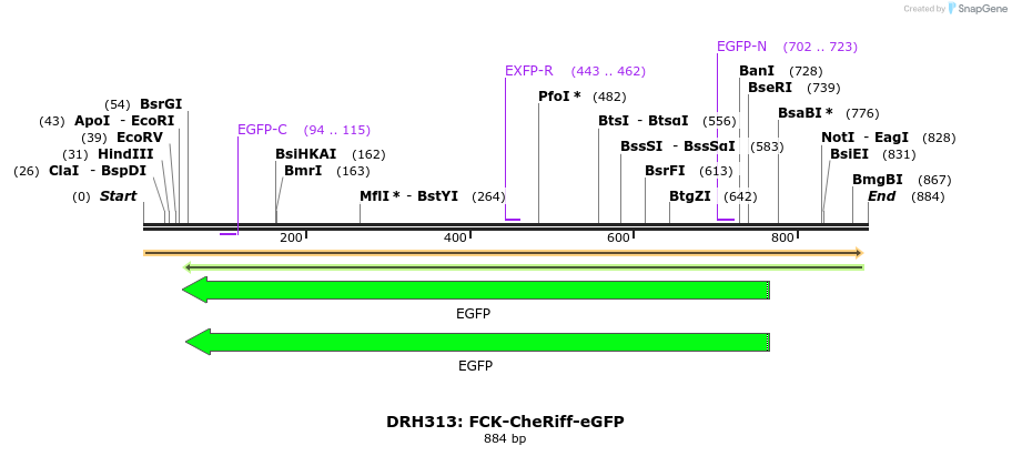 82203_map
