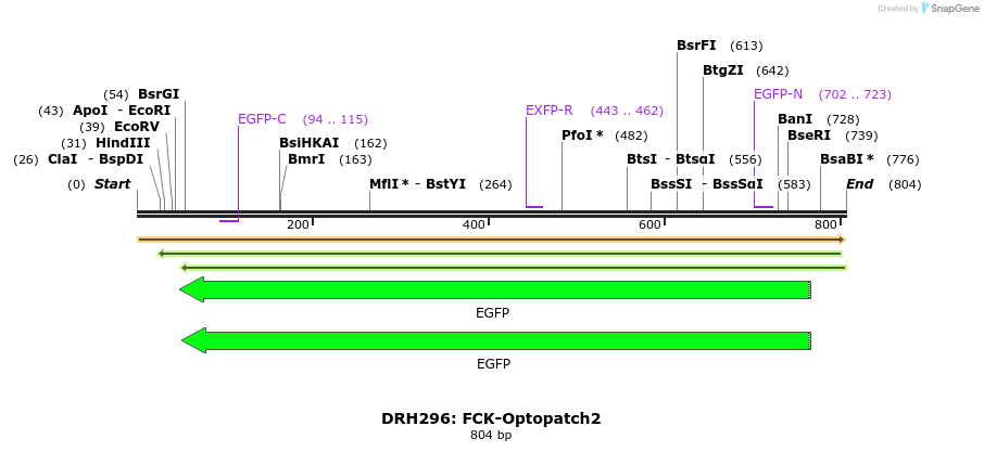 82204_map