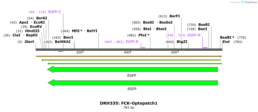 82206_map