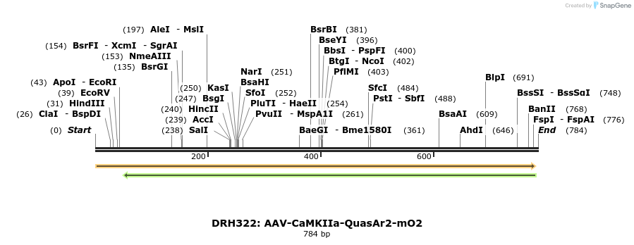 82208_map