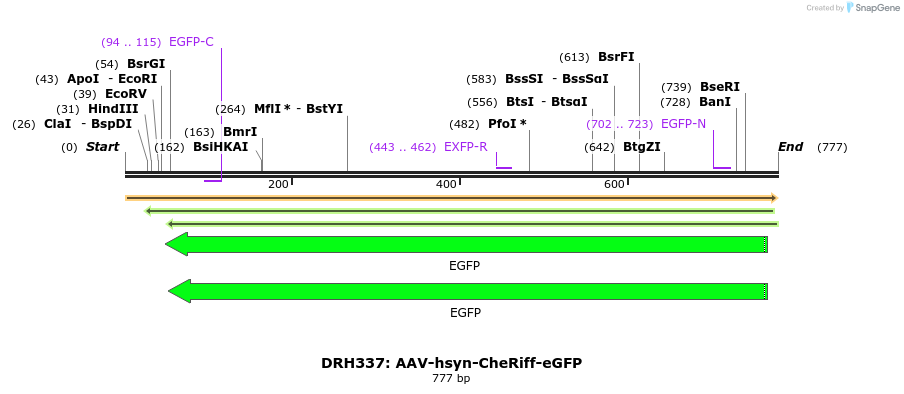 82210_map