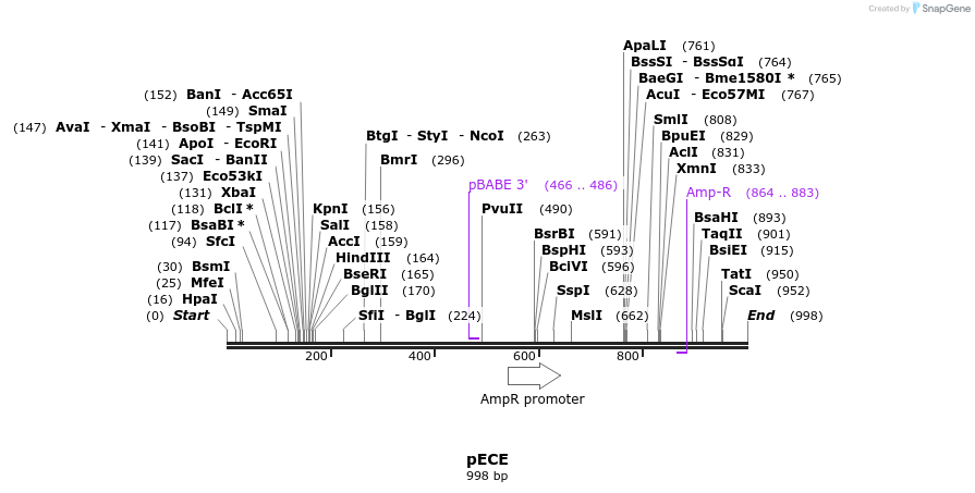 82212_map