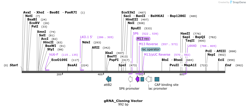 82217_map