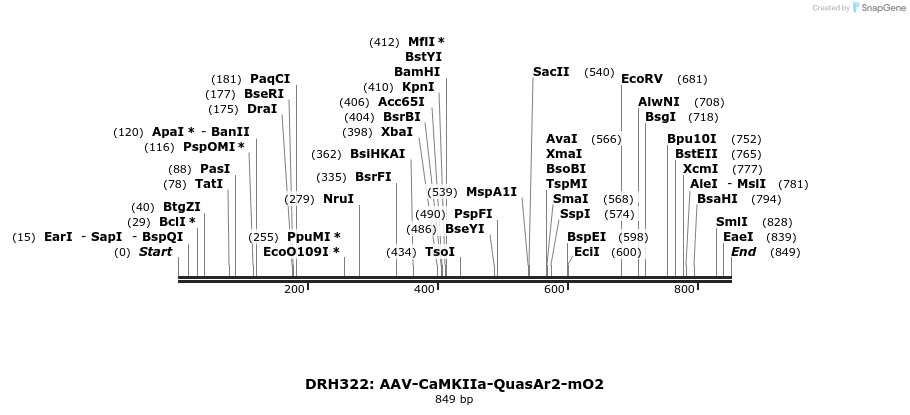 82221_map