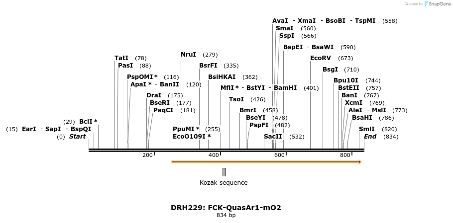 82222_map