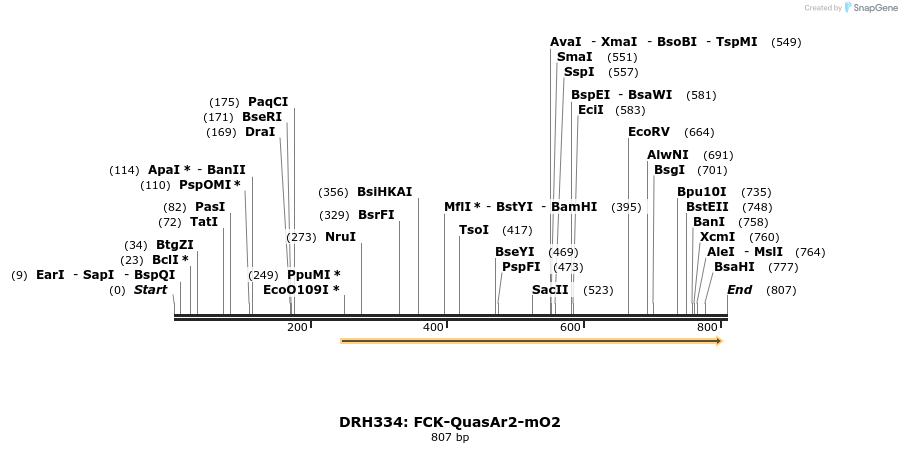 82223_map