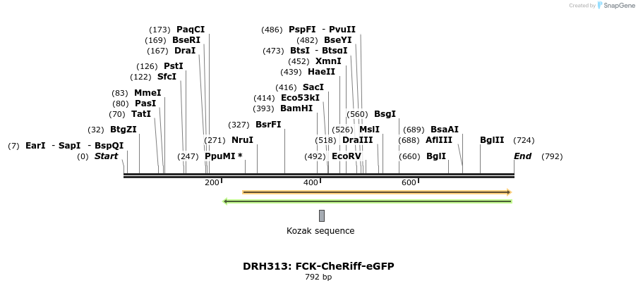 82224_map