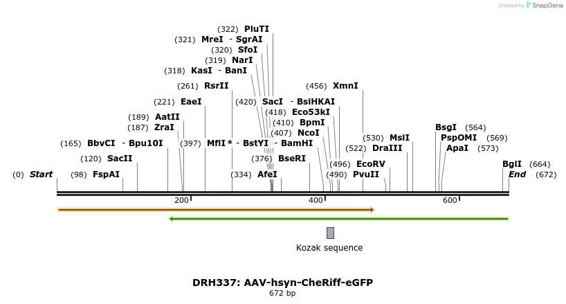 82225_map