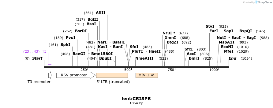 82232_map