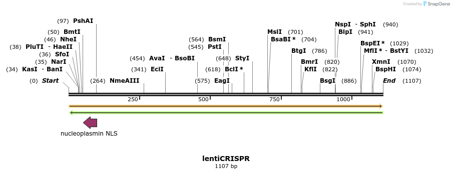 82238_map