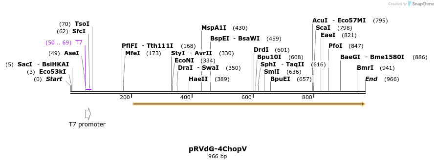 82242_map