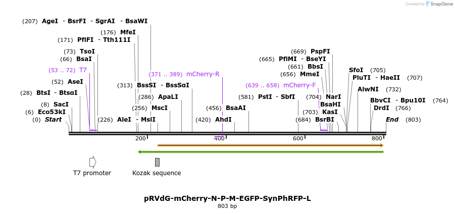 82245_map