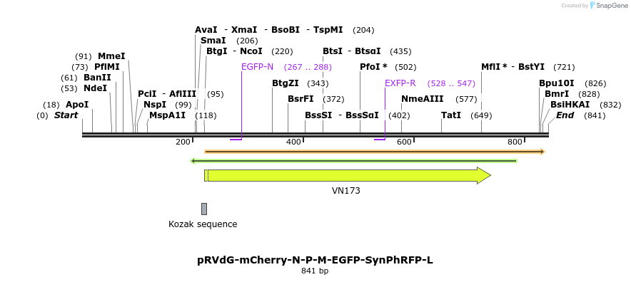 82246_map