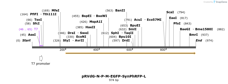 82247_map