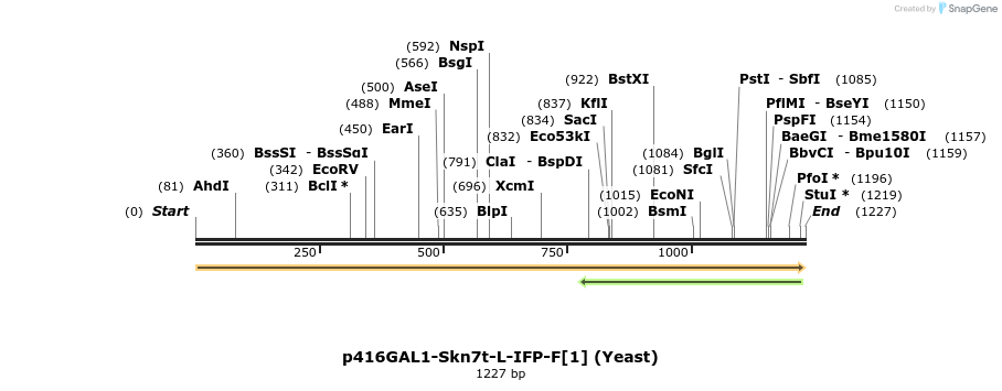 82266_map