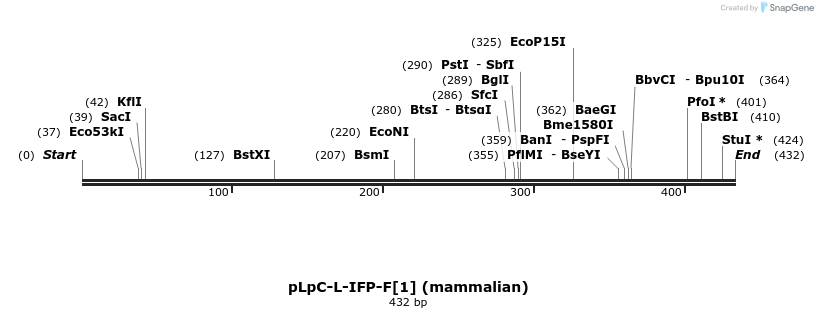 82273_map
